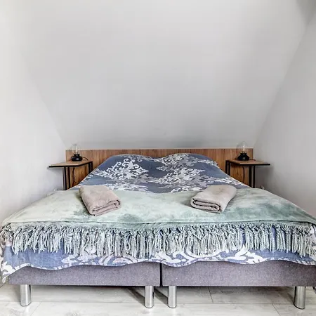 Séjour chez l'habitant Pod Zegarem - W Cenie Parking, Szybkie Wifi, Duzy Ogrod, Wiata Grilowa! Krynica-Zdrój