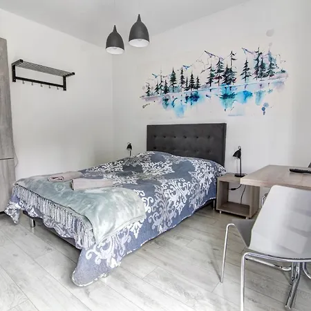 Pod Zegarem - W Cenie Parking, Szybkie Wifi, Duzy Ogrod, Wiata Grilowa! Homestay Krynica Zdroj